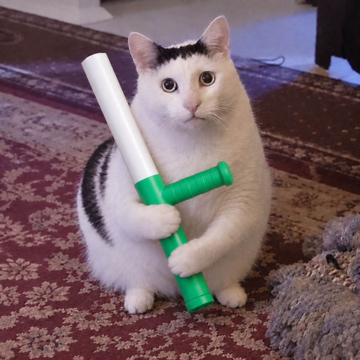 Wide-eyed white and black cat holding a white baton with a green shaft and side handle